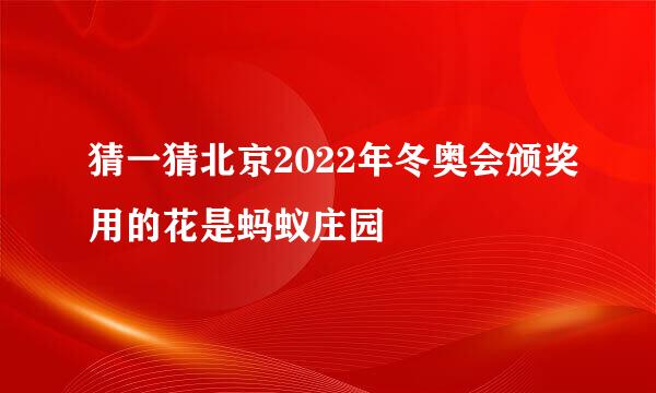 猜一猜北京2022年冬奥会颁奖用的花是蚂蚁庄园