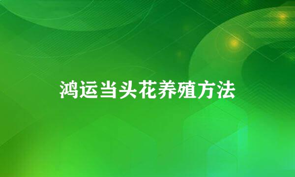 鸿运当头花养殖方法