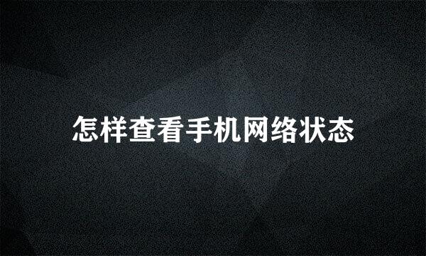 怎样查看手机网络状态