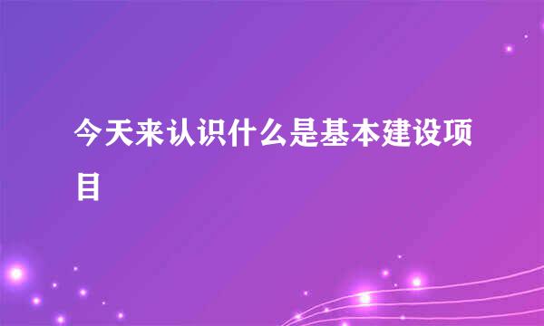 今天来认识什么是基本建设项目