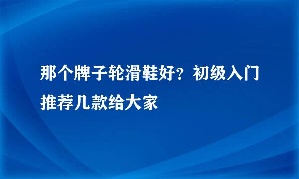 那个牌子轮滑鞋好？初级入门推荐几款给大家