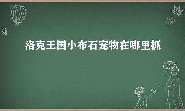 洛克王国小布石宠物在哪里抓