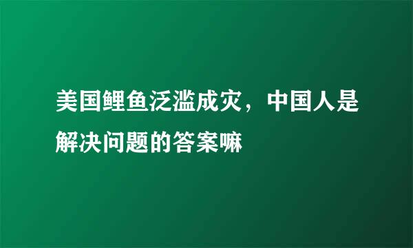 美国鲤鱼泛滥成灾，中国人是解决问题的答案嘛