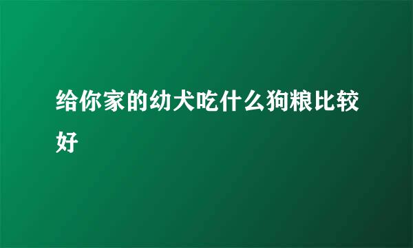 给你家的幼犬吃什么狗粮比较好