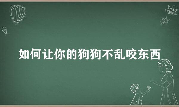 如何让你的狗狗不乱咬东西