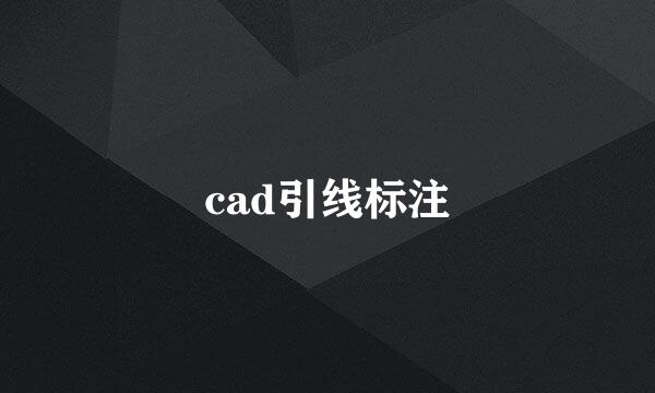 cad引线标注