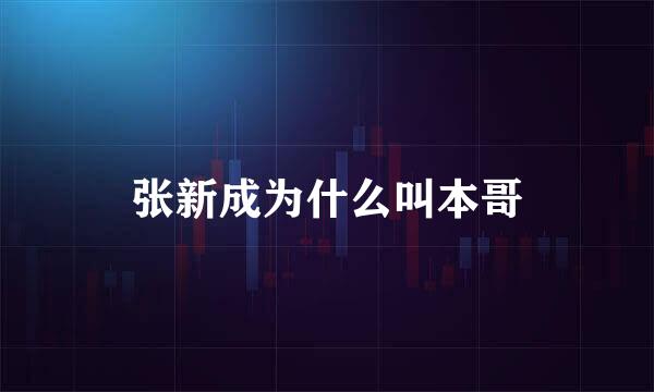 张新成为什么叫本哥