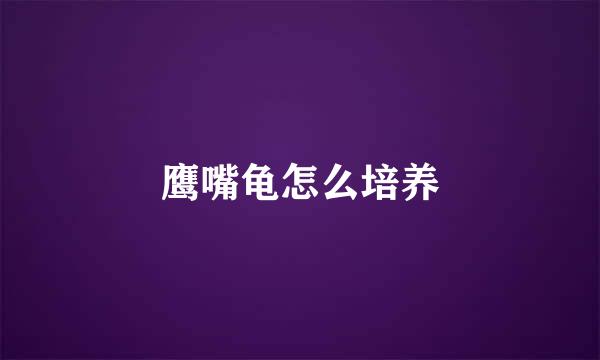 鹰嘴龟怎么培养