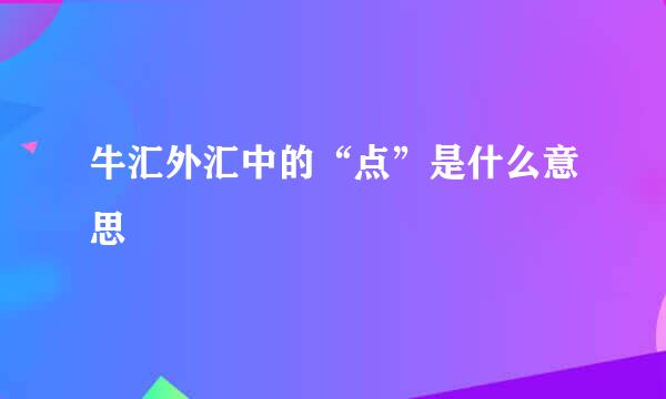 牛汇外汇中的“点”是什么意思