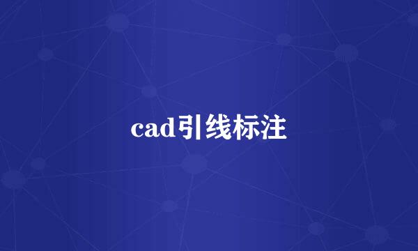 cad引线标注