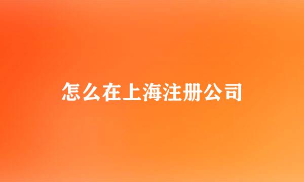 怎么在上海注册公司