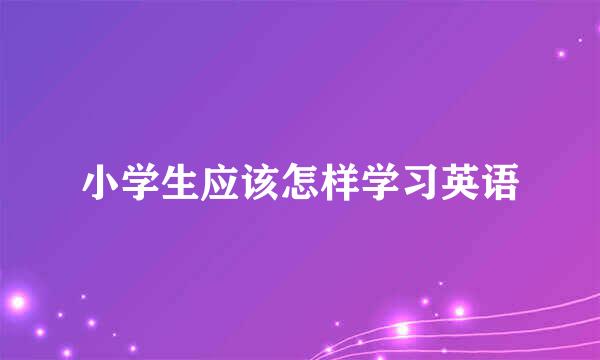 小学生应该怎样学习英语