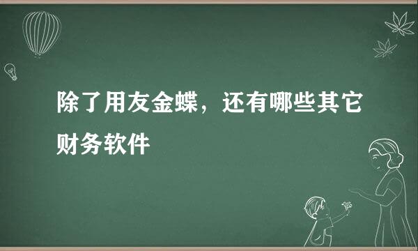 除了用友金蝶，还有哪些其它财务软件