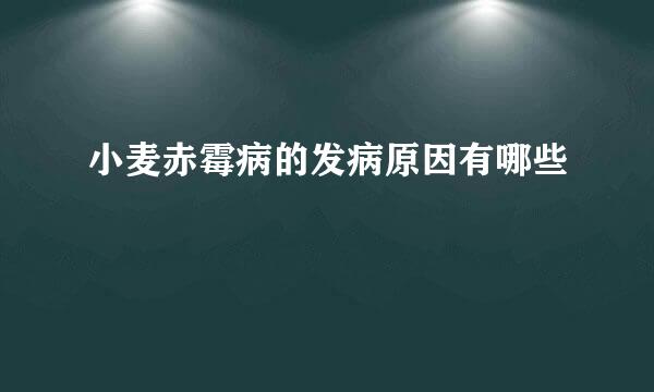 小麦赤霉病的发病原因有哪些