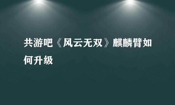 共游吧《风云无双》麒麟臂如何升级