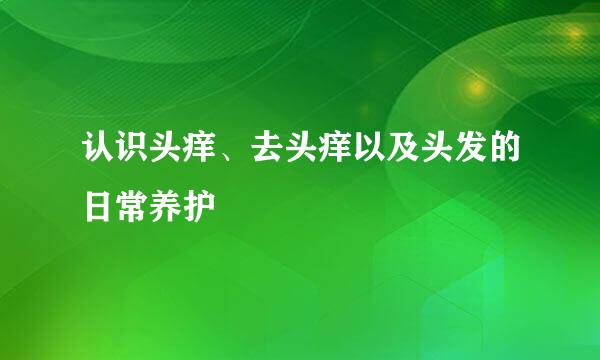 认识头痒、去头痒以及头发的日常养护