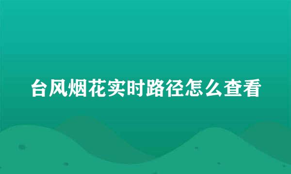 台风烟花实时路径怎么查看