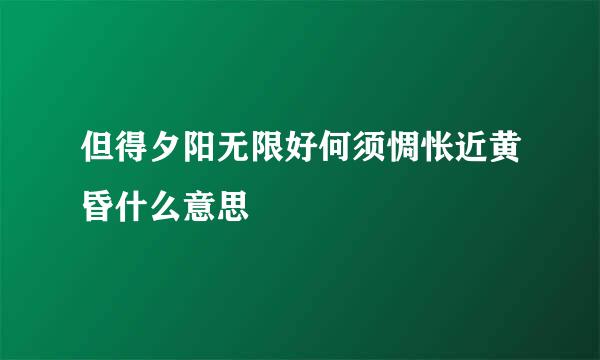 但得夕阳无限好何须惆怅近黄昏什么意思