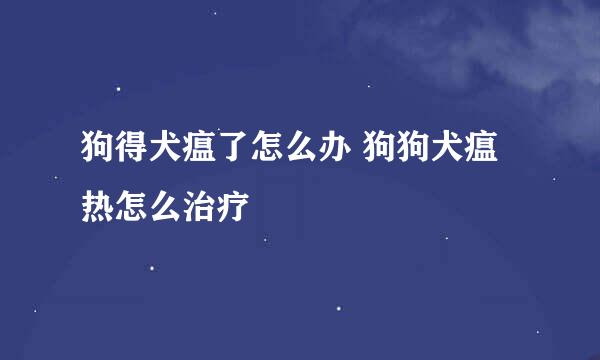 狗得犬瘟了怎么办 狗狗犬瘟热怎么治疗