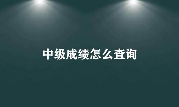 中级成绩怎么查询