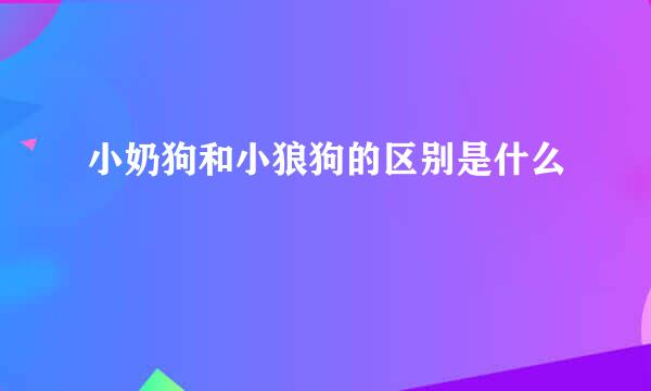 小奶狗和小狼狗的区别是什么