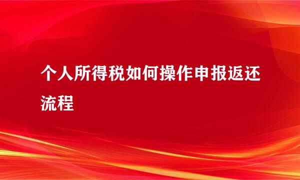 个人所得税如何操作申报返还流程